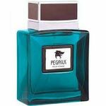 Flavia PEGASUS POUR HOMME edp 100ml