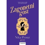 Zagonetni gost