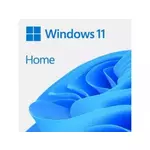 Microsoft L3P-00092 Win 11 Home GGK 64Bit Eng Intl 1pk DSP ORT OEI DVD