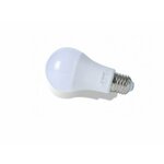 Home led sijalica E27, 6500K