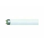 FLUO CEV TL-D 36W/54-765 PS242