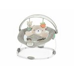 Kids II InLighten Bouncer, Bear Nate