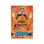 Naruto: 3-In-1 Edition 8: Vols. 22, 23 & 24
