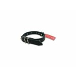 savacoop Ogrlica kožna za psa 020 Lux, sa nitnama TR 5007