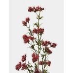 Sinsay - Ukrasna veštačka biljka - maroon maroon SS 2025 406FQ-83X