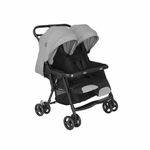 Graco kolica za decu Duorider Steeple Grey
