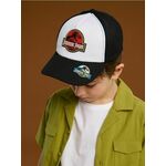Sinsay - Bejzbol kačket Jurassic Park - šareno šareno SS 2025 806DX-MLC