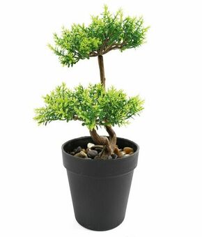 Lilium dekorativni bonsai 33cm 567315