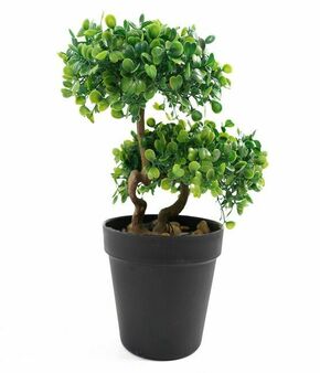 Lilium dekorativni bonsai 33cm 567316